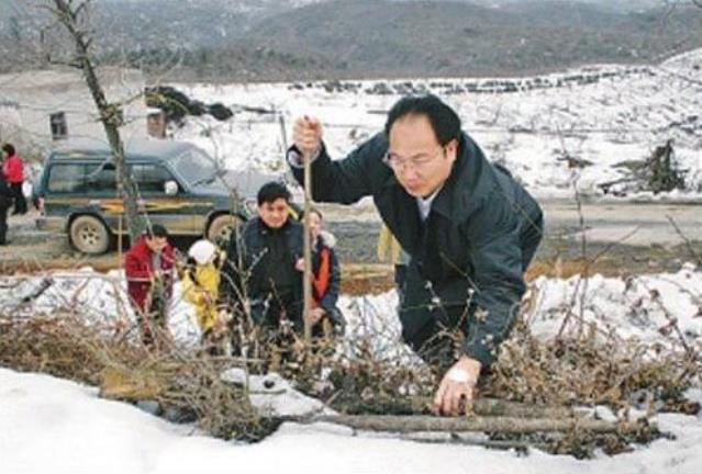 龙志华